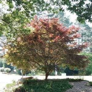 Meet your Posher, Jenn